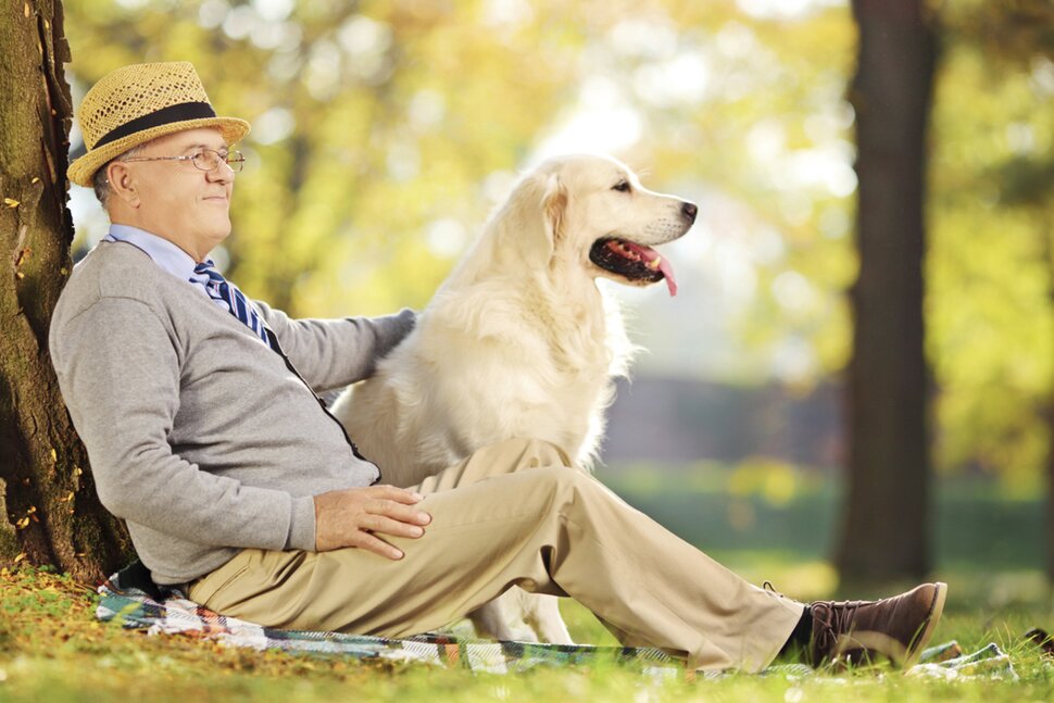 Canine companions ease loneliness.