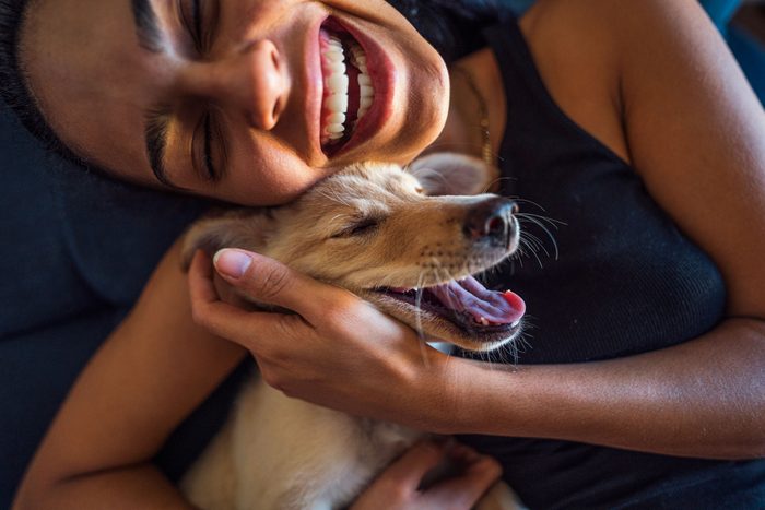 The Power of Touch: Building Bonds with Dogs