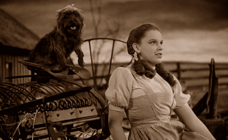 Nurturing Well-Being in "The Wizard of Oz" (1939)