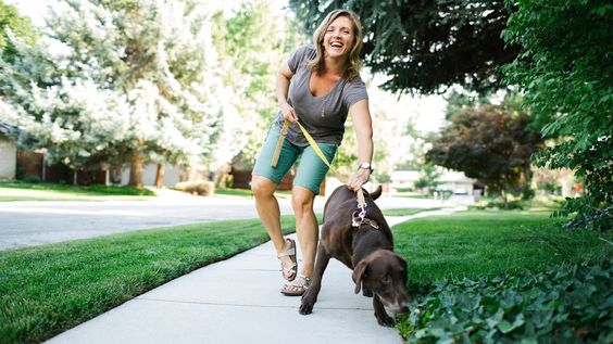 Canine Therapy: Endorphins and Well-being