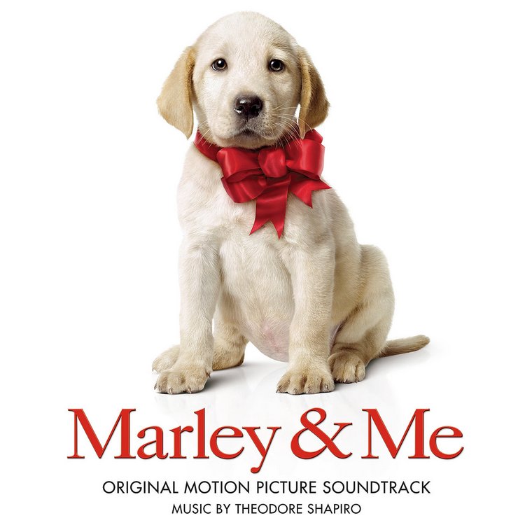 Pet Care Harmony in "Marley and Me" (2008)