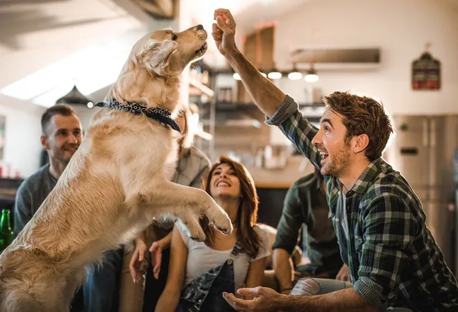 Canine Connectors: Dogs as Social Catalysts