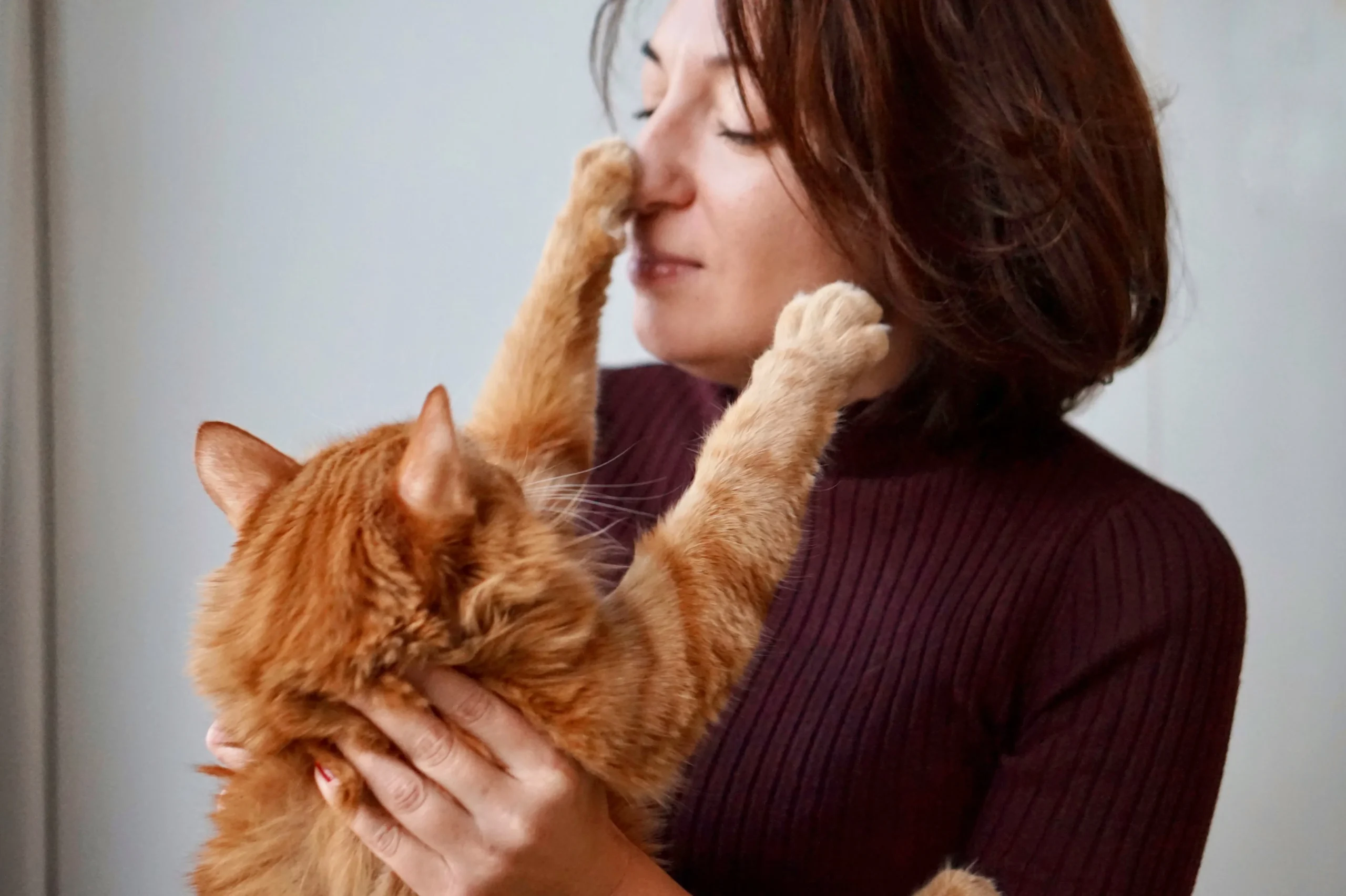 Cat's Gentle Paw Touch: A Heartwarming Gesture