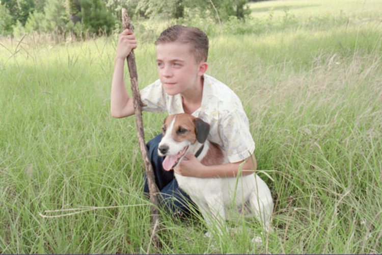 A Heartwarming Canine Journey in "My Dog Skip" (2000)