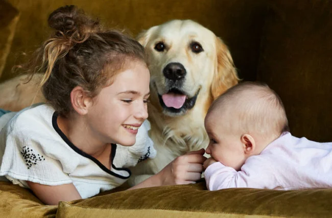 Canine Bonds: Fostering a Sense of Family and Belonging