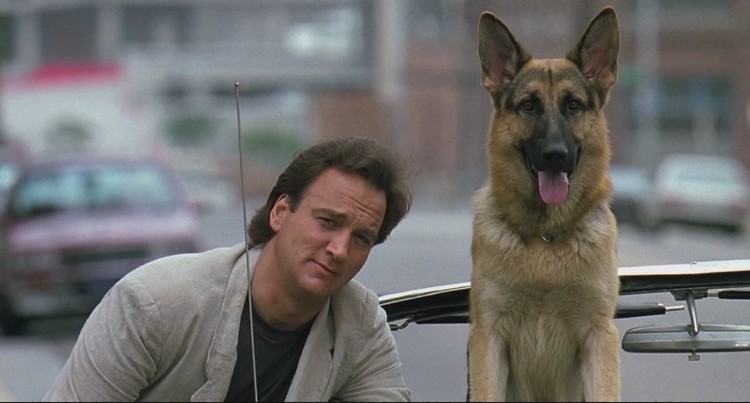 Nurturing Pet Bliss in "K-9" (1989)