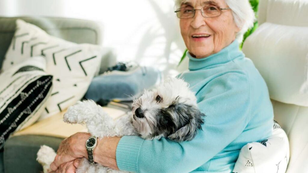 Canine Companionship: Easing Feelings of Isolation