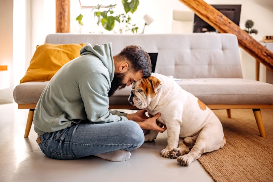 Canine Calm: Dogs as Therapeutic Allies for Anxiety