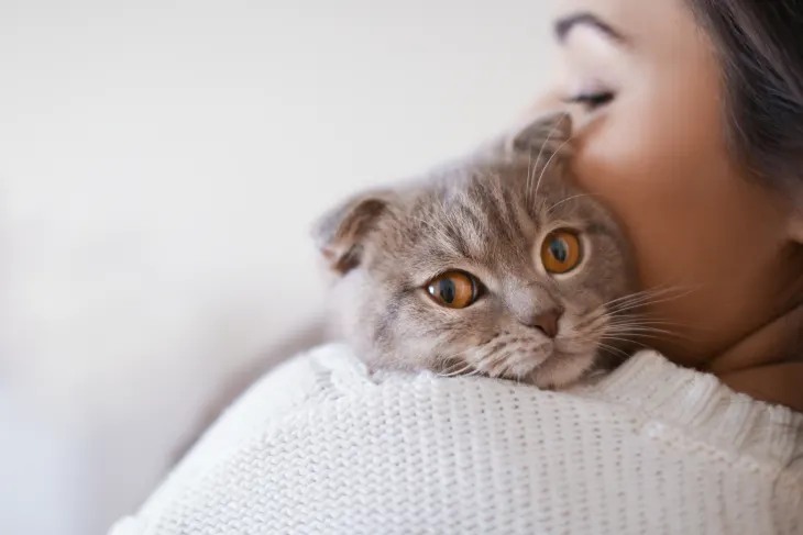 Cats' Empathy for Humans