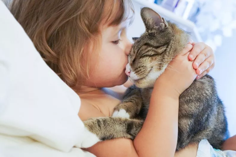 A cat and a baby in a heartwarming interaction, showcasing their innocent curiosity and mutual comfort.