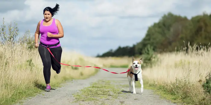 Dog walks and playtime: the key to happier, healthier lives for both humans and their furry friends.