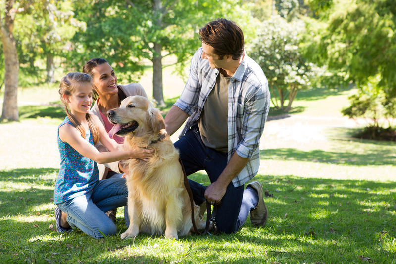 Dogs serve as catalysts for social engagement, diminishing isolation. Their presence sparks dialogue and bonds among fellow dog guardians during strolls or park outings. Shared encounters foster camaraderie, nurturing a sense of inclusion.