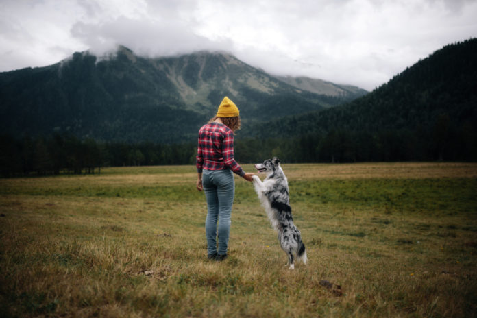 Embracing Mindfulness: Dogs as Guides to Present Living