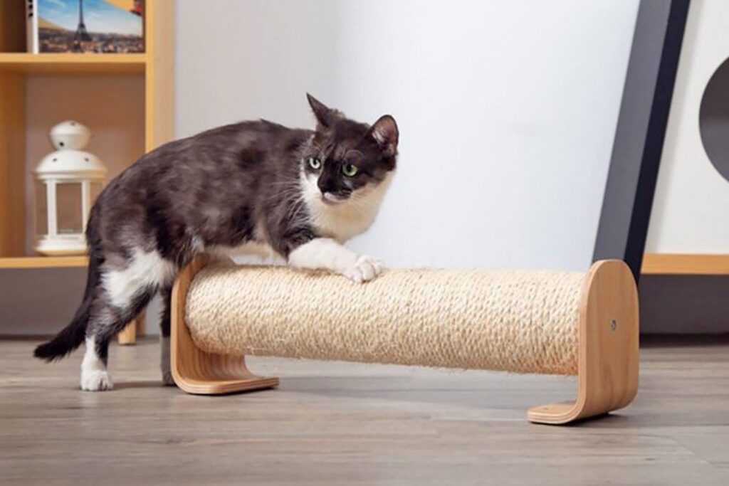 Sisal Rope Ball: Textured Feline Play Companion