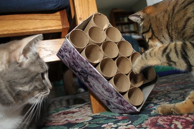 Interactive Paper Roll Treat Puzzle: Feline Enrichment