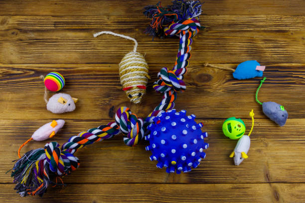 Braided Fabric Streamers: Feline Playful Wrestling Aid