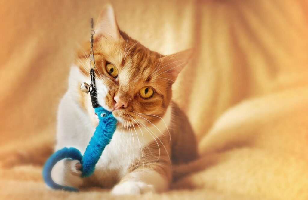 DIY Braided Rope Toy: Feline Interactive Play