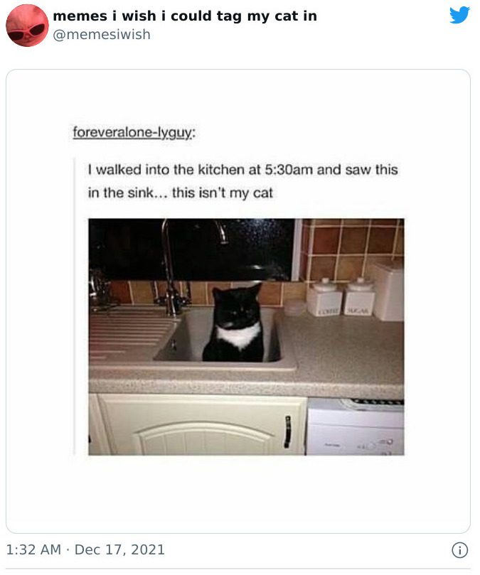 Image of a cat occupying a sink, asserting ownership.