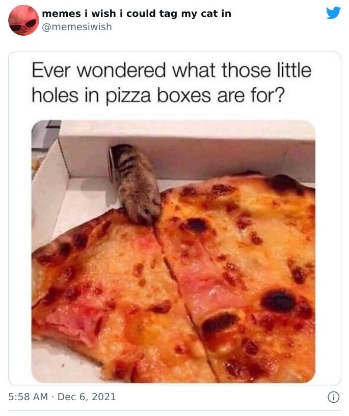 mage showing a cat poking its paws through perforations in a pizza box.