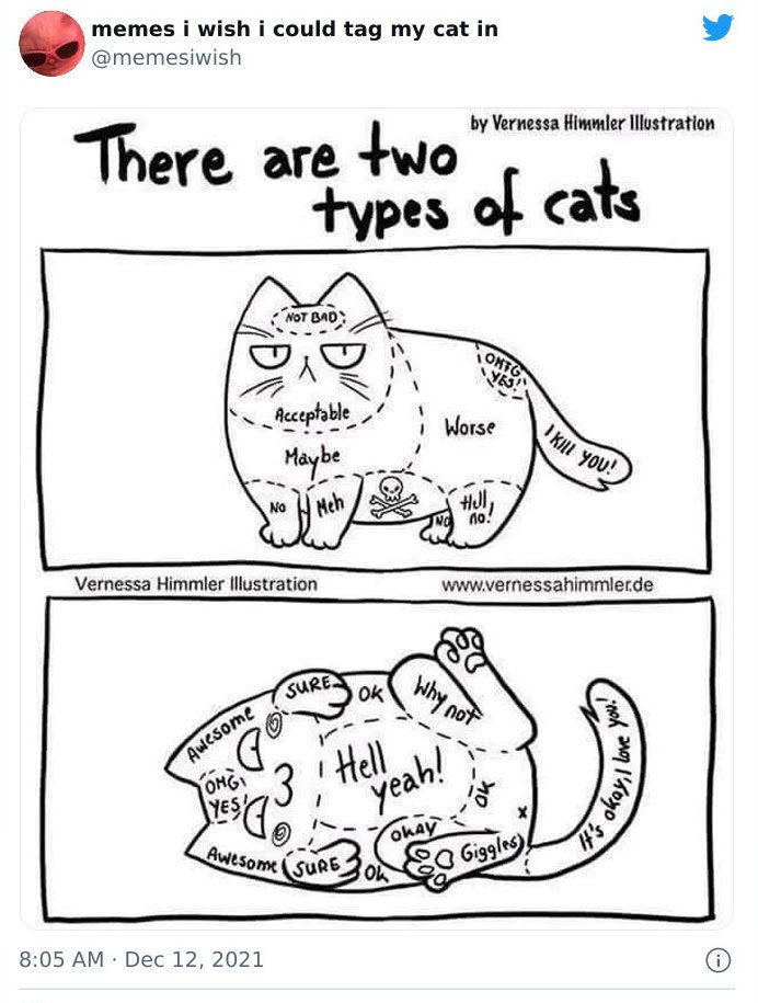 Humorous meme about two types of cats and their preferences for petting.