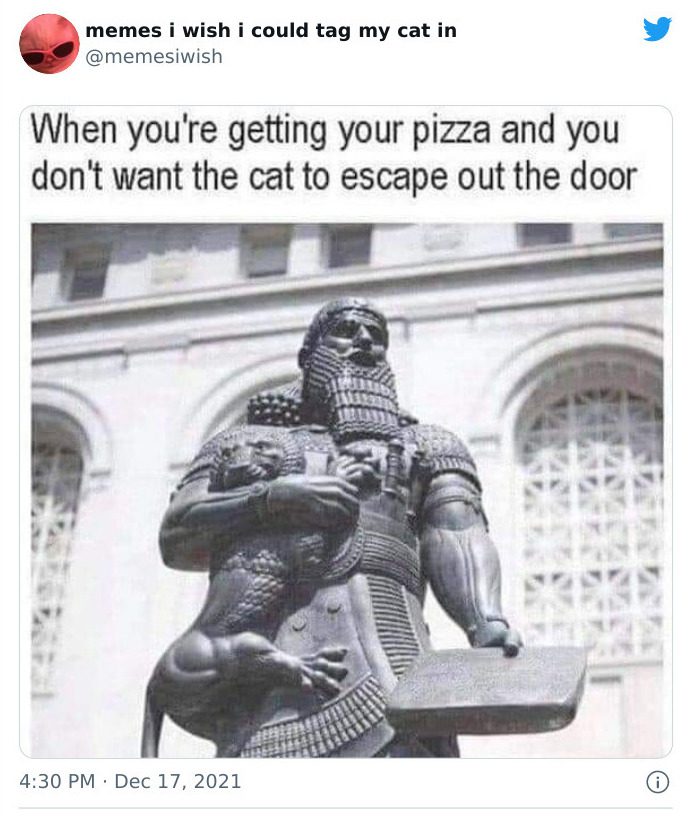 An exploration of the tendency for cats to seek solitude, juxtaposed with their return to the comfort of a caring home and the humorous portrayal of a peculiar statue with a pizza.