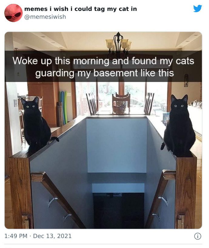 Meme of two cats positioned as "guardians" of the basement entrance.